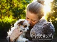 狗狗多大开始养比较好？手把手教你养一只健康的狗狗！