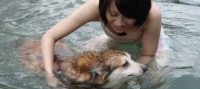 狗狗游泳是天生就会的吗？