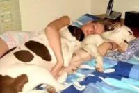 狗狗为啥喜欢和人“睡觉”呢？看看这几个原因就明白了